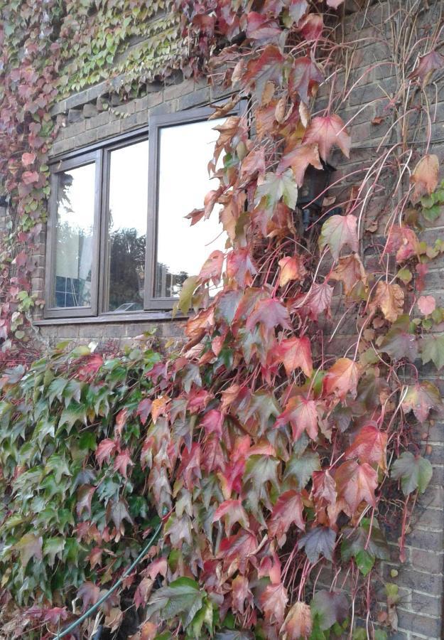 Woodpeckers Cottage B&B Pett 外观 照片
